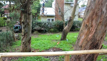 PhotoshopExtension_Image 18.jpeg